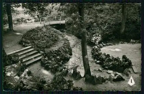 Foto AK gel. Bad Lippspringe Westfalen Teutoburger Wald Jordanquelle Waldpartie