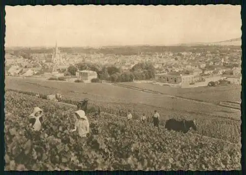 AK Champagne Pommery & Greno Reims Ay. Vue générale Premier cru de raisins noirs