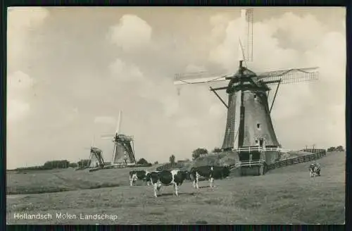 Foto AK Windmühle Weideland mit Kühe molens in de polder in zoeterwoude Holland