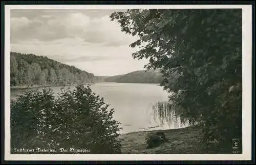 Foto AK Tiefensee Werneuchen in Brandenburg Uferpartie am Gamensee um 1940