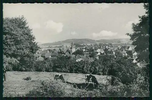 AK Blick auf Horn Bad Meinberg bei Detmold Lippe Cekade Karte