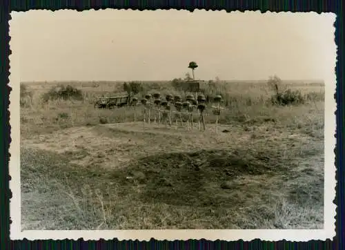 Foto Soldaten Wehrmacht Gräber Namen Birkenholz Kreuze Russland Ukraine 1942-43