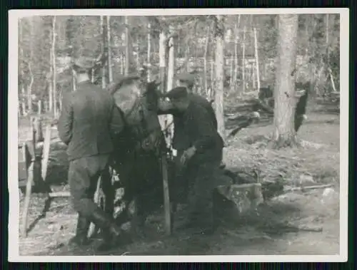 7x Foto Soldaten Wehrmacht im Waldlager Norwegen Finnland 1942-43