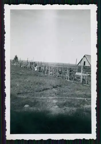 5x Foto Soldaten Wehrmacht im Waldlager Norwegen Finnland 1942-43