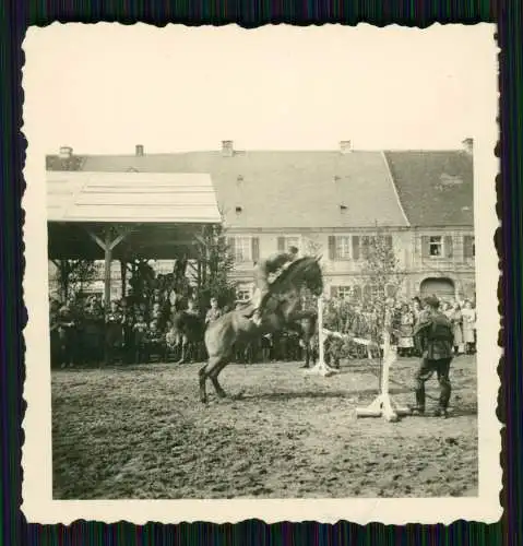 5x Foto Soldaten Wehrmacht Reitturnier in Neustadt Hessen ? Pfingsten 1941