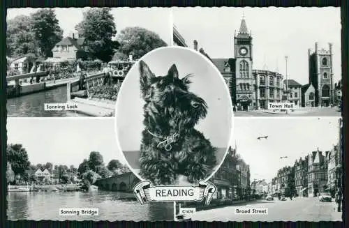 Foto AK Ansichtskarte Postkarte Reading Berkshire England Hund Foxterrier