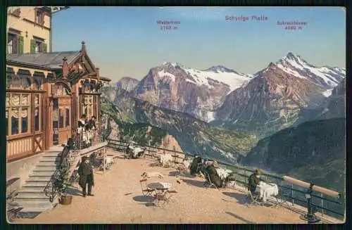 AK Kanton Bern, Schynige Platte, Wetterhorn und Schreckhorn und 1927 gelaufen