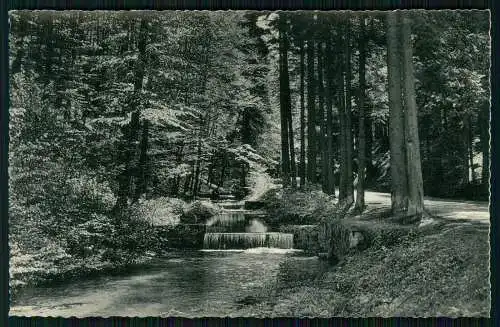 AK Detmold Lippe Teutoburger Wald Berlebecker Quellen Waldweg