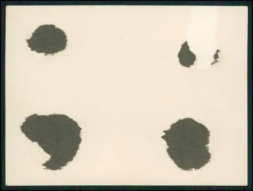 9x Foto 15x10cm Hude Oldenburg Bremen Biergarten Gasthof uvm. Ansichten um 1930