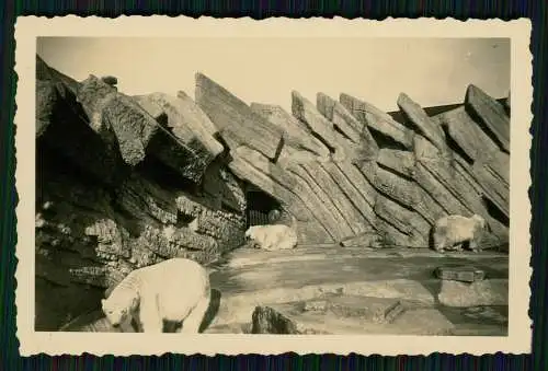 16x Foto Speckenbüttel Lehe Bremerhaven Zoo diverse Anischten 1937