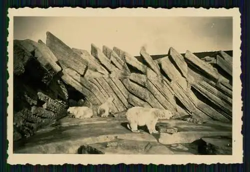 16x Foto Speckenbüttel Lehe Bremerhaven Zoo diverse Anischten 1937