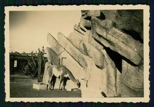 16x Foto Speckenbüttel Lehe Bremerhaven Zoo diverse Anischten 1937