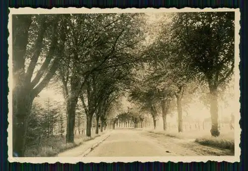 16x Foto Speckenbüttel Lehe Bremerhaven Zoo diverse Anischten 1937