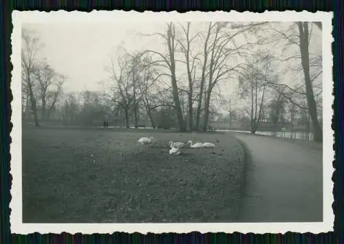 21x Foto Hannover in Niedersachsen diverse Anischten Umgebung am Maschsee 1937