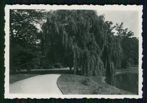 21x Foto Hannover in Niedersachsen diverse Anischten Umgebung am Maschsee 1937