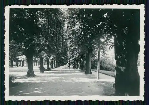 21x Foto Hannover in Niedersachsen diverse Anischten Umgebung am Maschsee 1937