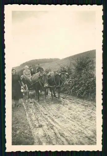 10x Foto Umgebung Nieder-Kainsbach Brensbach Crumbach im Odenwald um 1940