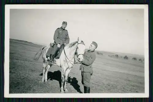 4x Foto Soldat Wehrmacht auf Schimmel Pferd