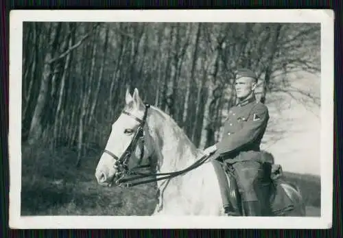 4x Foto Soldat Wehrmacht auf Schimmel Pferd