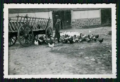 9x Foto Gut Schönfeld Werne An Der Lippe Kreis Unna - Bauernhof Ehlert ? 1939