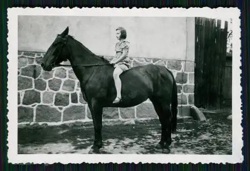 9x Foto Gut Schönfeld Werne An Der Lippe Kreis Unna - Bauernhof Ehlert ? 1939