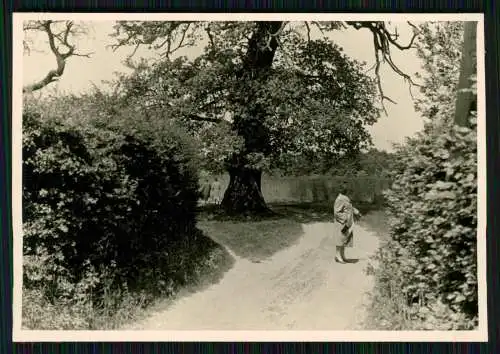 7xFoto Häuser Zechensiedlung Straße Möcklinghoff Datteln Südring Ruhrgebiet 1957