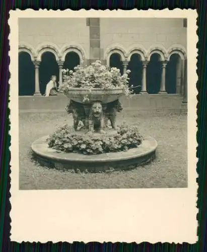 14x Foto Rhein Reise Koblenz Festung Ehrenbreitstein und andere Rhein Ansichten