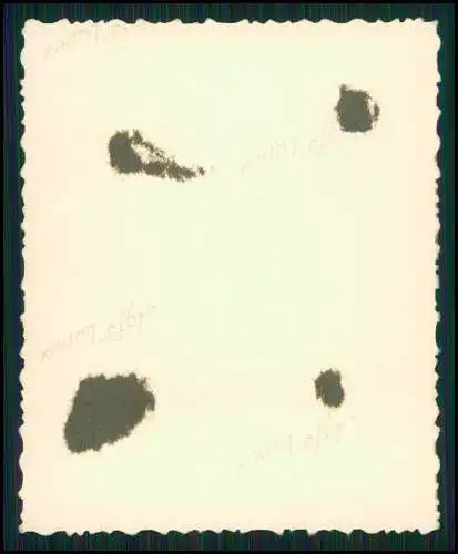 14x Foto Rhein Reise Koblenz Festung Ehrenbreitstein und andere Rhein Ansichten