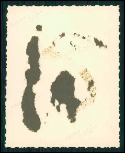 14x Foto Rhein Reise Koblenz Festung Ehrenbreitstein und andere Rhein Ansichten