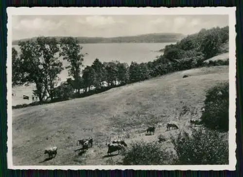 5x Foto und AK Flensburg in Schleswig Holstein, diverse Ansichten um 1940