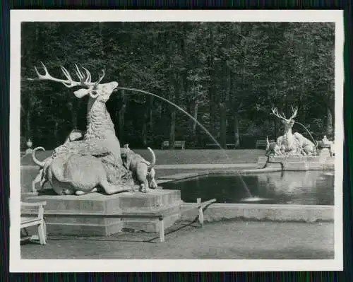 12x Foto Schwetzingen Baden Württemberg, diverse Ansichten 1938