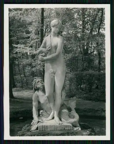 12x Foto Schwetzingen Baden Württemberg, diverse Ansichten 1938