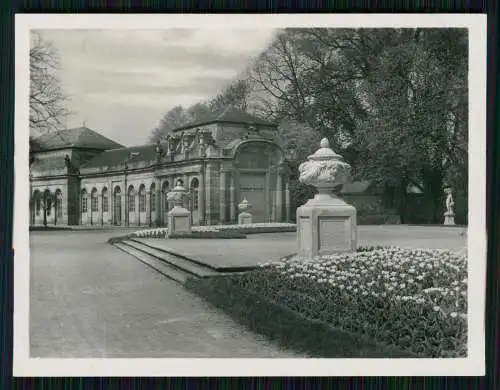 12x Foto Schwetzingen Baden Württemberg, diverse Ansichten 1938