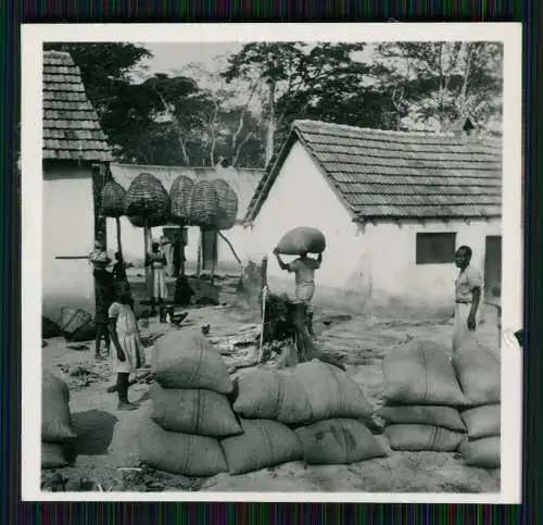 6x Foto 6x6 cm -Südafrika Farmarbeit Jeep Kaffeeplantage Arbeiter u. vieles mehr