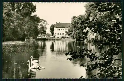 5x Foto AK Bad Oeynhausen in Westfalen Werrepartie mit Sielterrassen Restaurant