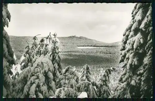 11x alte Foto AK Harz Diverse Winter Ansichten - Info Rückseite der Karten