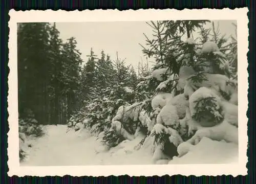 8x Foto Wieda Walkenried Harz Hotel Stöberhai Diverse Winter Ansichten Grenze