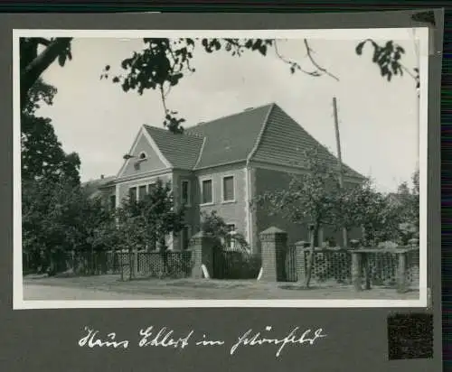 9x Foto Schönfeld ? Steinfeld Bismark Altmark Bauernhof Haus Ehlert 1939