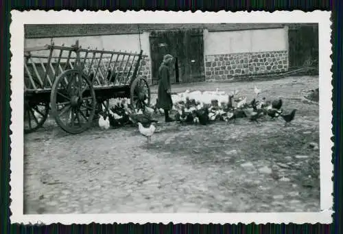 9x Foto Schönfeld ? Steinfeld Bismark Altmark Bauernhof Haus Ehlert 1939