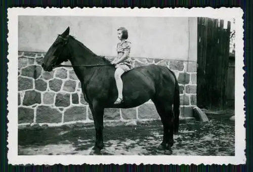 9x Foto Schönfeld ? Steinfeld Bismark Altmark Bauernhof Haus Ehlert 1939