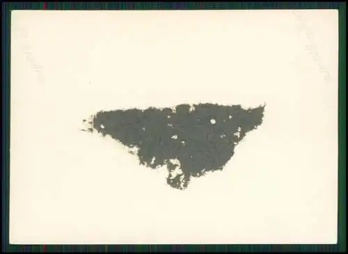 17x Foto unsere Reise 1939 Vorarlberg Bayern Tirol Österreich diverse Alpen ....