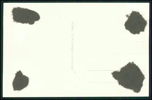 4x AK Schieder Schwalenberg in Lippe Haus Sonnenschein Liegewiese Panorama uvm.