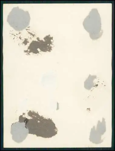 5x Foto 11x9cm - Lüderitz Namibia Deutsch-Südwestafrika 1929 Dorfbewohner Jagd