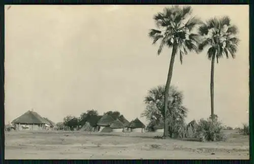 5x Foto 11x9cm - Lüderitz Namibia Deutsch-Südwestafrika 1929 Dorfbewohner Jagd
