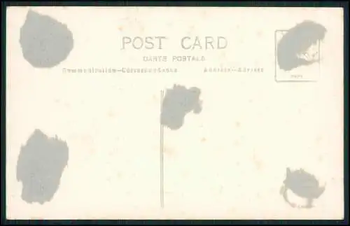 5x Foto 11x9cm - Lüderitz Namibia Deutsch-Südwestafrika 1929 Dorfbewohner Jagd