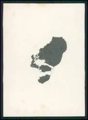 13x Foto feiner Herr lächelnd gut aussehend Portrait 1925-30