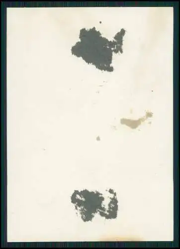 13x Foto feiner Herr lächelnd gut aussehend Portrait 1925-30