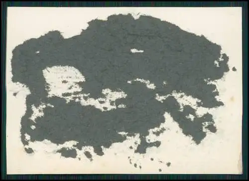 13x Foto feiner Herr lächelnd gut aussehend Portrait 1925-30