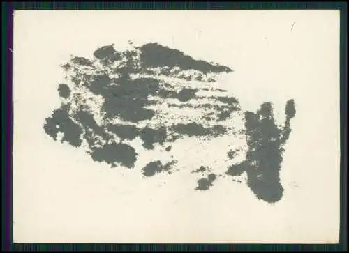 13x Foto feiner Herr lächelnd gut aussehend Portrait 1925-30