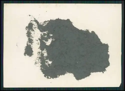13x Foto feiner Herr lächelnd gut aussehend Portrait 1925-30